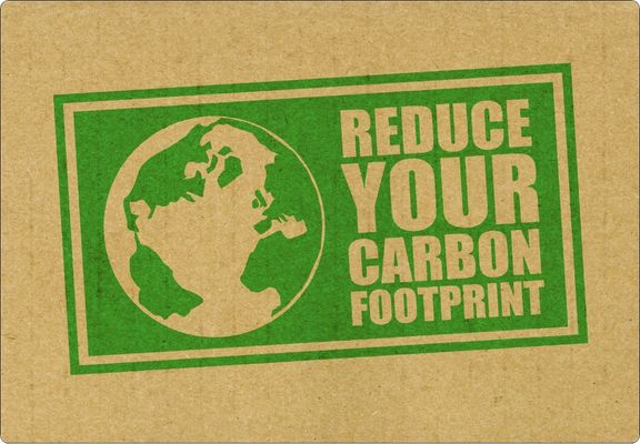 Compostable Flexible Packaging Can Reduce Carbon Footprint