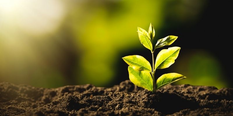 Compostable Flexible Packaging Is A Sustainable Packaging