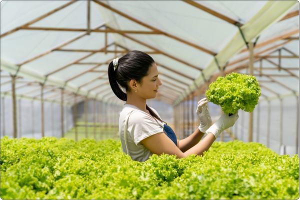 Future Trends in Polyethylene Greenhouse Films
