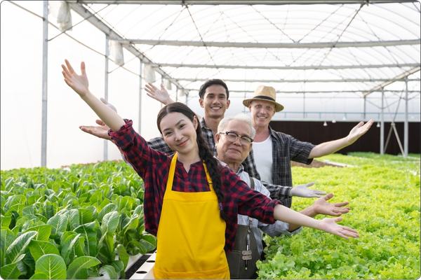 Installation and Maintenance of Polyethylene Film Greenhouses